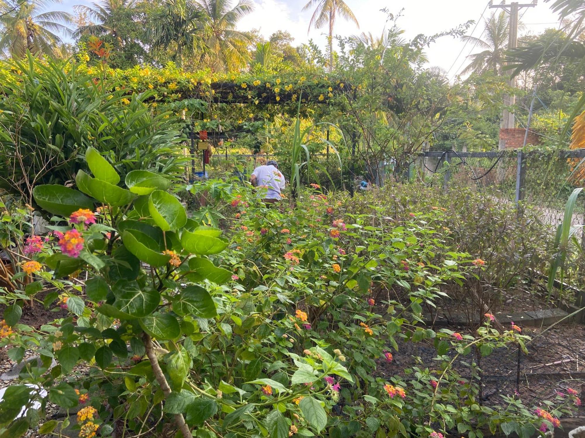 Lana Land Homestay Phu Quoc Extérieur photo